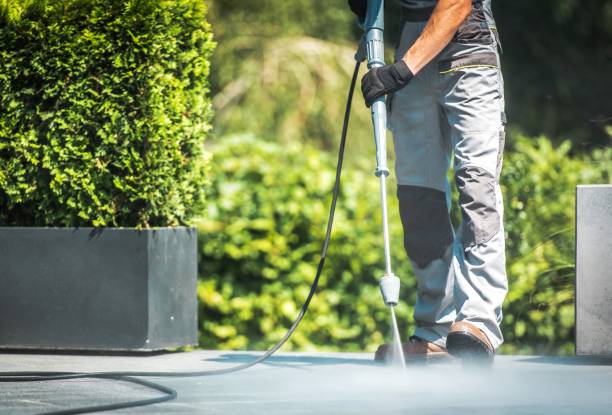Best Gutter Cleaning  in San Carlos Park, FL